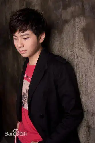 中国好声音第四季第一期学员徐林图片