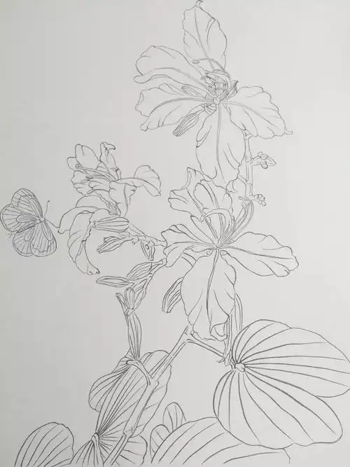 【国画教程】工笔《紫荆花》