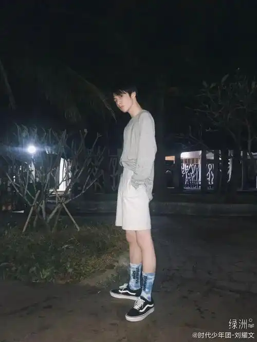 毕业季限定版《学长图鉴》|衬衫|短裤|纯色|牛仔裤|t恤|上衣_网易订阅