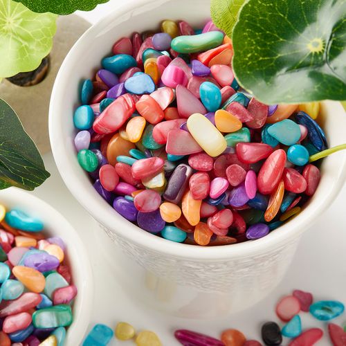 纯天然七彩贝壳精美彩色贝碎石多肉盆栽铺面石办公绿植园艺用品