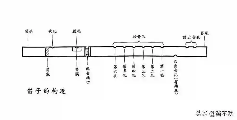 构造:其实有笛子的朋友,一般都知道笛子有6个音孔,从下往上分别是第一
