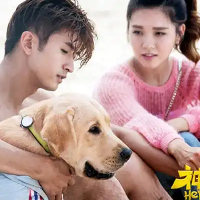 【图】神犬小七第二季里欧叶哭了? 该剧制作精良严谨大获好评