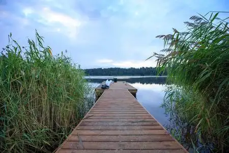 一个安静的早晨图片