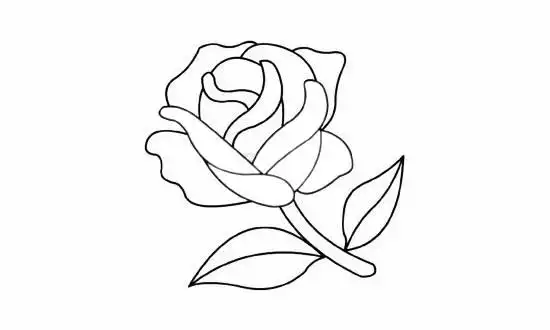 美丽的玫瑰花简笔画