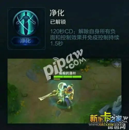 王者荣耀赵云召唤师技能净化