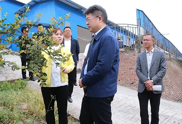 自贡富顺县县长冯君调研产业发展并督导森林防灭火工作