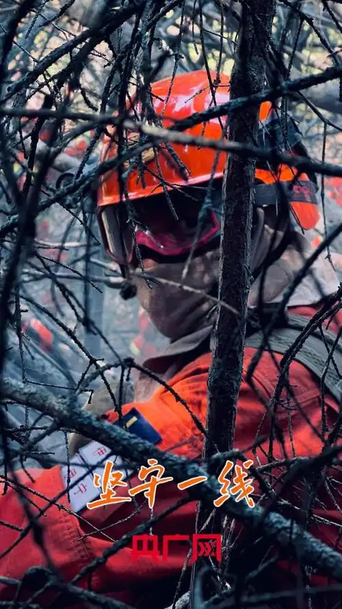 精彩壁纸|"火焰蓝"高清大图超燃来袭|火海|消防支队|罗成_网易订阅