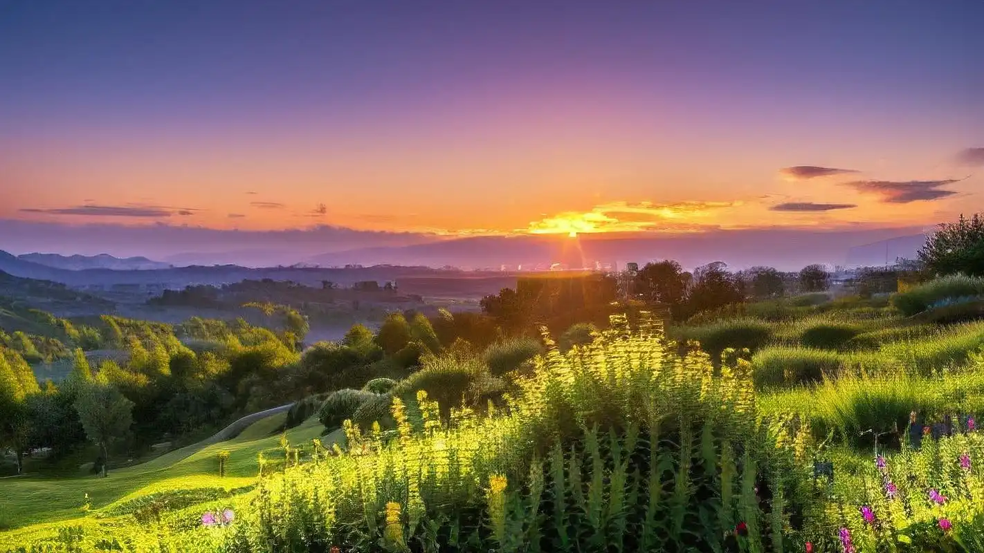 给心情加点绿91 亲们,想要给手机或电脑桌面换张清新养眼的背景图吗