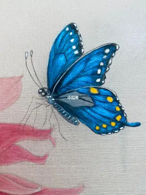 发光的蝴蝶🦋(工笔画蝴蝶)