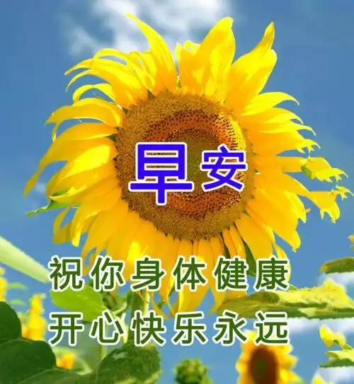 夏天最美早安祝福语图片带字温馨,2022年漂亮早上好问候动态图片