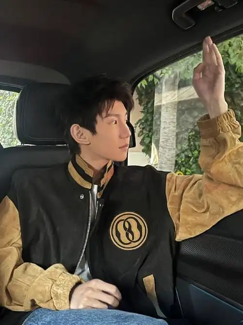 王源车内侧颜随拍