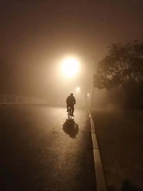 孤独的背影凌晨大雾一位骑车人出现在我的镜头里