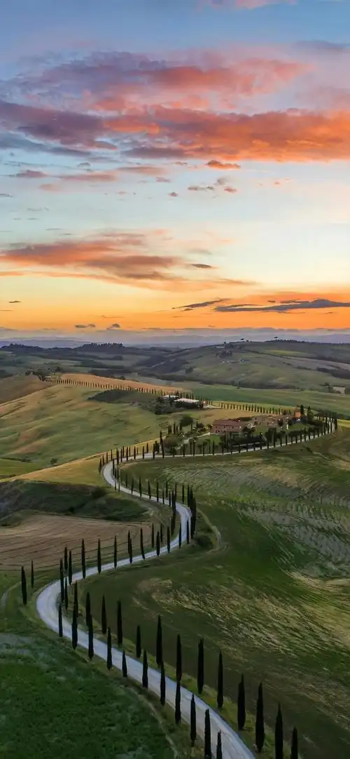 错过就错过吧,人嘛,总要有点性格|景深4k手机壁纸