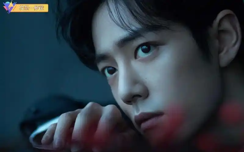 肖战沉稳帅气写真视频欣赏