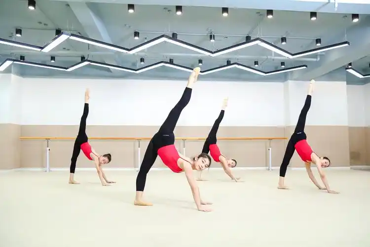 河之南舞蹈学校——携手——北京舞蹈学院《中国舞普及教育基本功测评