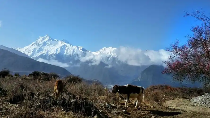 秀美的多雄拉山,翻过去,便有另一番美好~墨脱