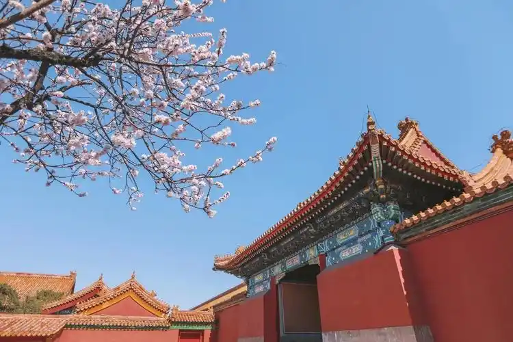 紫禁城 - 堆糖,美图壁纸兴趣社区