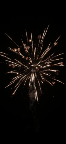 2021除夕夜浪漫烟花,锁屏图片,高清手机壁纸,节日-回车桌面