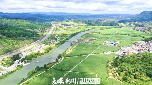 【庆丰收 感党恩】贵定:稻浪飘香金果满筐