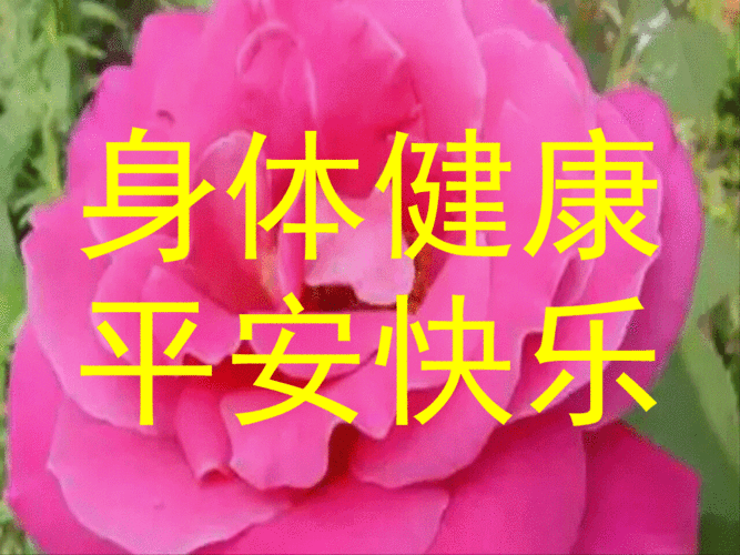 这辈子,不求大富大贵,只求平平安安!祝你平安送给我在乎的你!