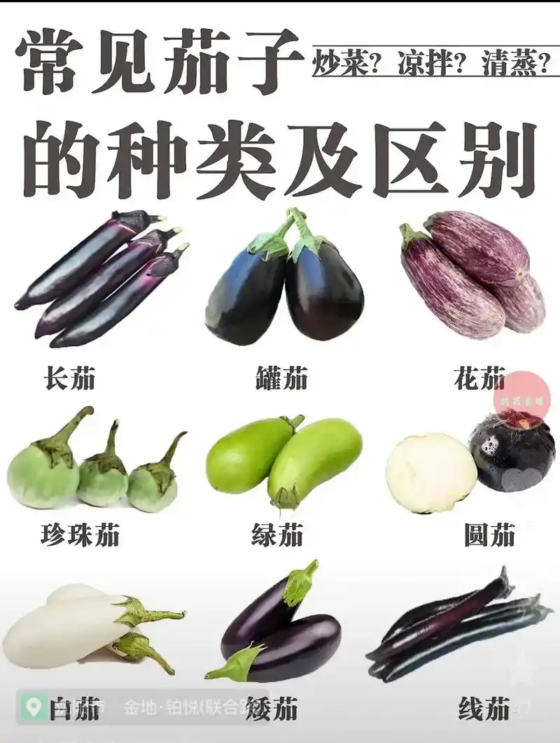 今日分享:茄子的种类! - 抖音