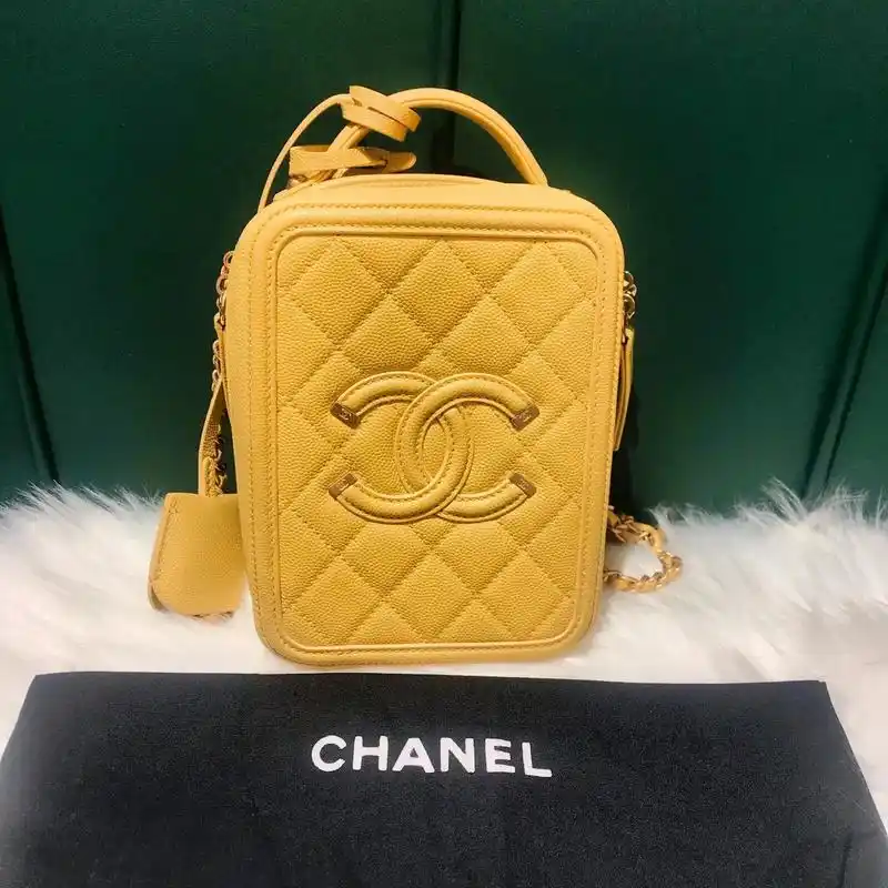 99新chanel 黄金荔枝皮竖版相机包 28开 尺寸17 - 抖音