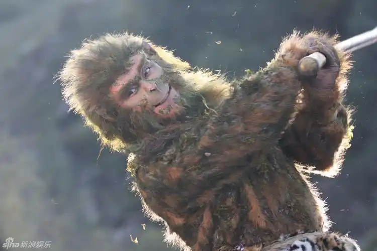 新浪娱乐讯 新版《西游记》剧照除已经曝光的几组金毛"紧箍咒"造型