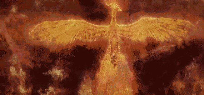 #与凤行凤凰vs烈焰凤凰##烈焰与凤行特效对比#