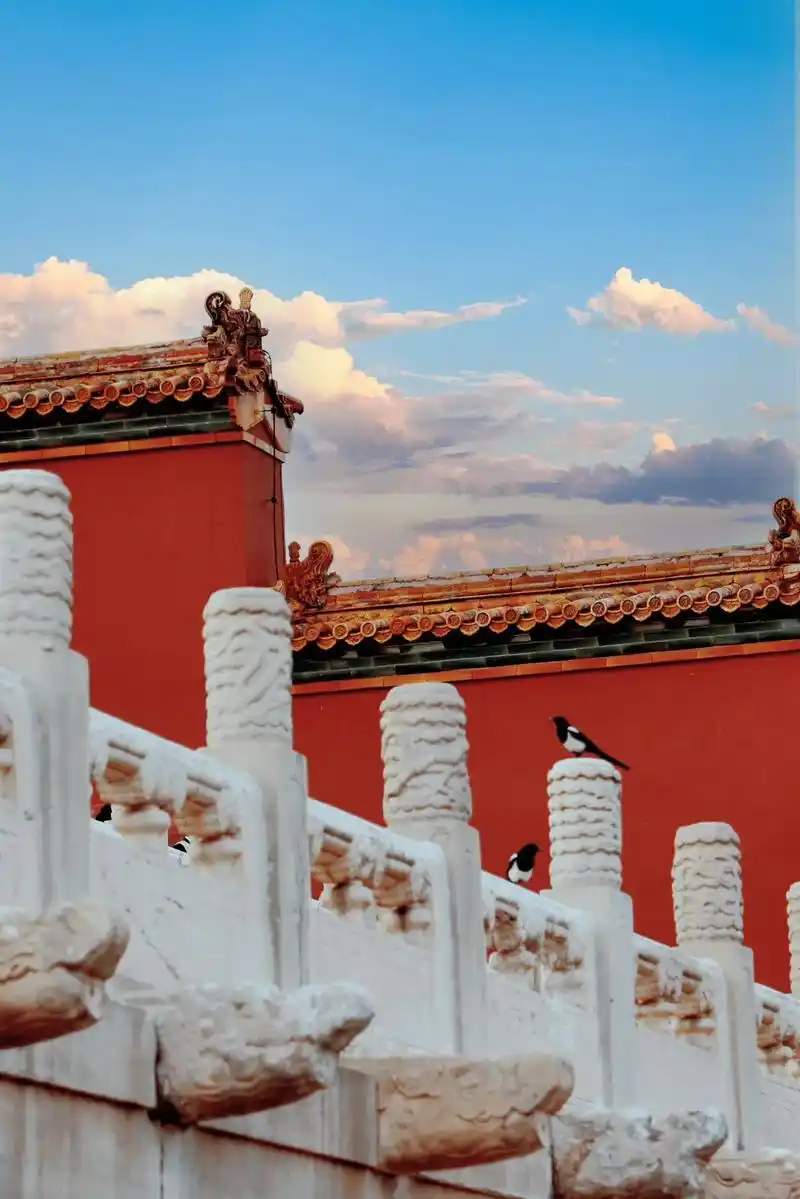 故宫秋光94.紫禁城的限定秋光 延禧宫的宝藏银杏  北京的秋 - 抖音