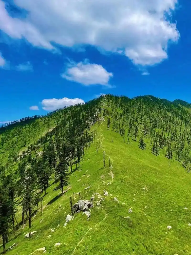 西安封神级的10大高山草甸 95美爆了 7215秦岭美景百看不厌,这