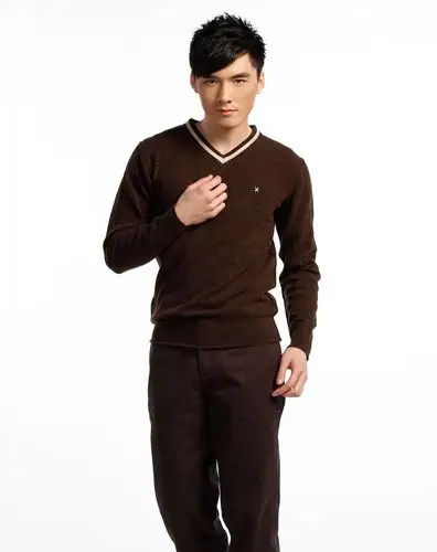 嘉仕堡gaastra男款深咖啡色v领长袖毛衣