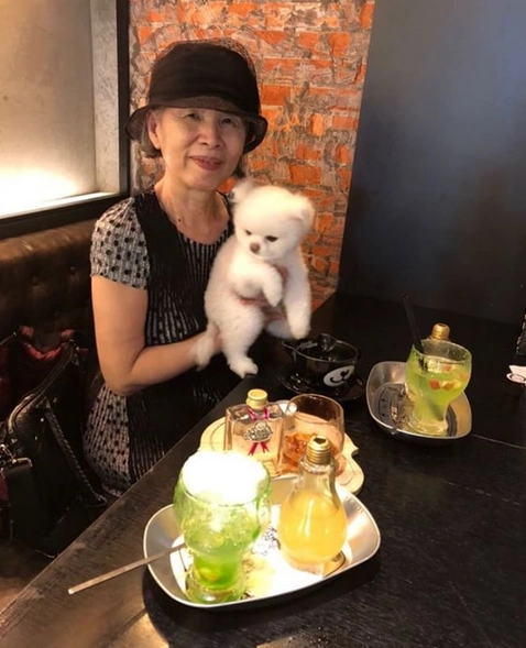 周杰伦晒妈妈叶惠美照片 抱可爱狗狗微笑气质佳