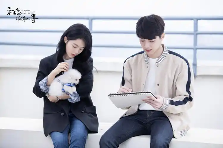 《初恋那件小事》海报剧照图片