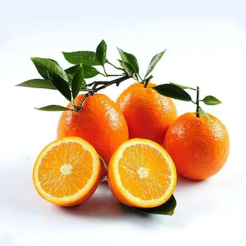 江西赣南无公害果园现摘鲜甜多汁大个脐橙5斤装 新鲜榨汁进口水果 -
