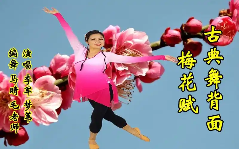 即便寒冷雪花飞,我伴梅花报春来《梅花赋》古典形体舞背面,编舞:马晴