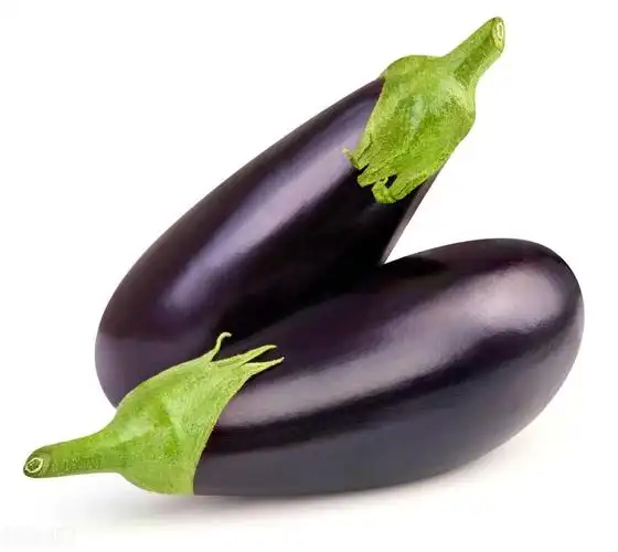 茄子的种类很多 你知道几种呢