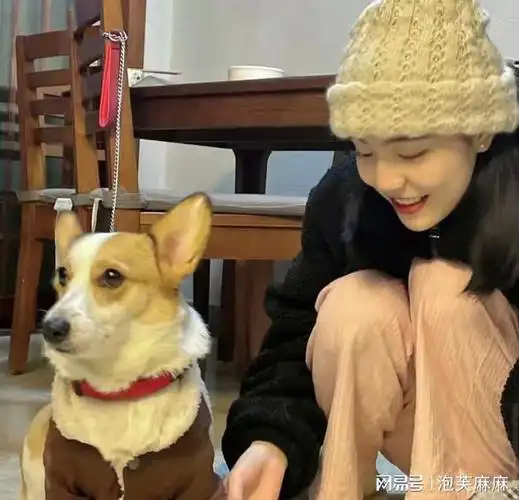 婆婆把家当成废品仓库,媳妇闹离婚:我的房子我做主