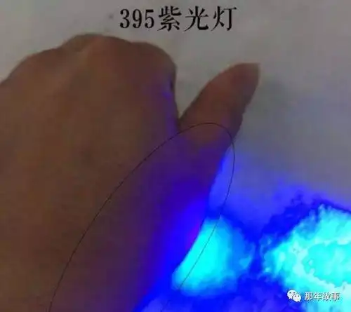 用这两种紫光灯照射黑布,可以发现,365紫光灯照射的部分,黑布上没有