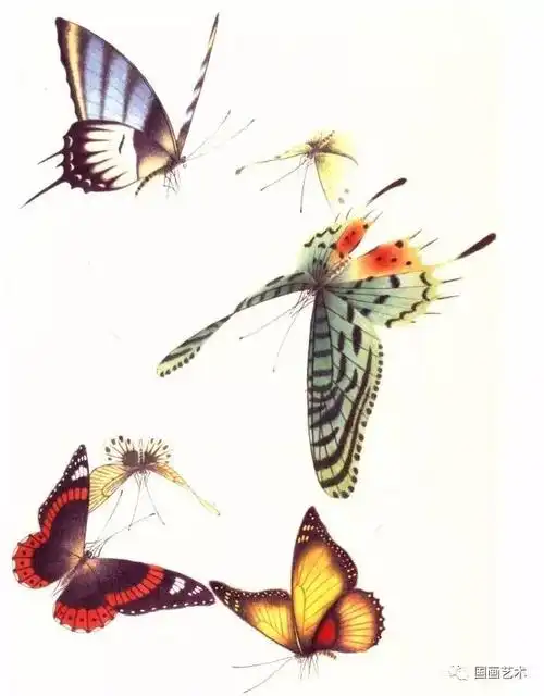 百蝶图谱美极了