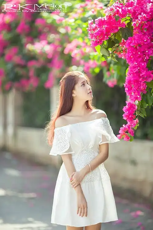 夏日清新韩宝仪专辑粉红色的回忆15首