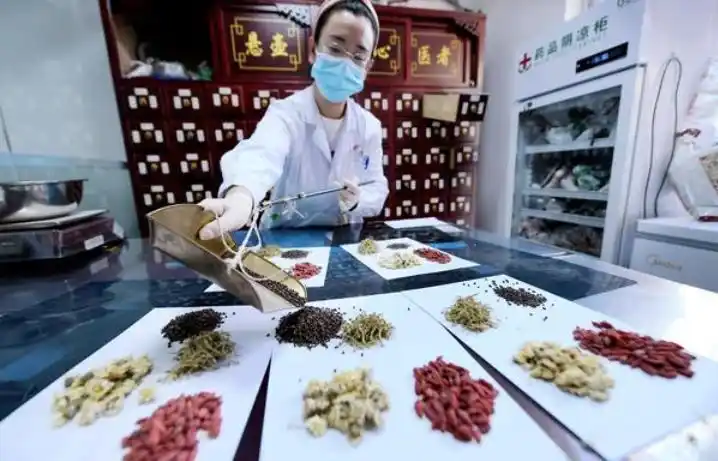 怎样培养中医药人才?河南明目标给路径