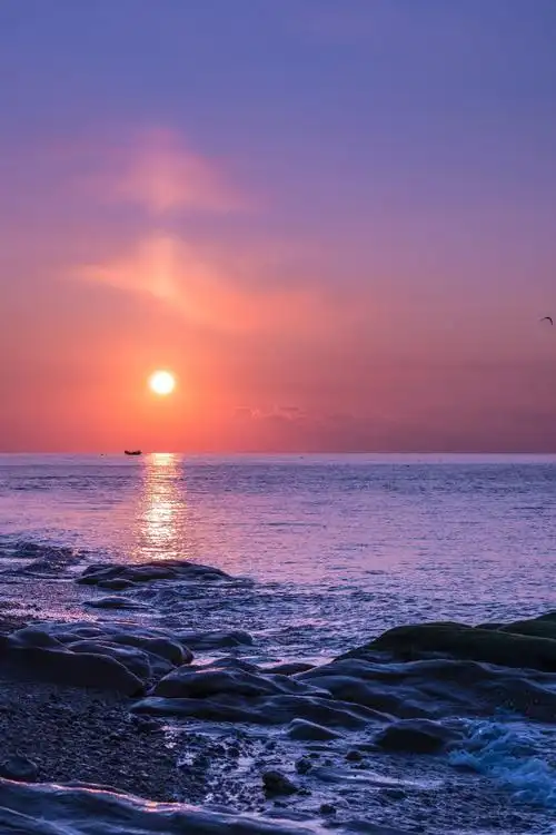 【有图】大连小付家庄海边的早晨-蜂鸟网