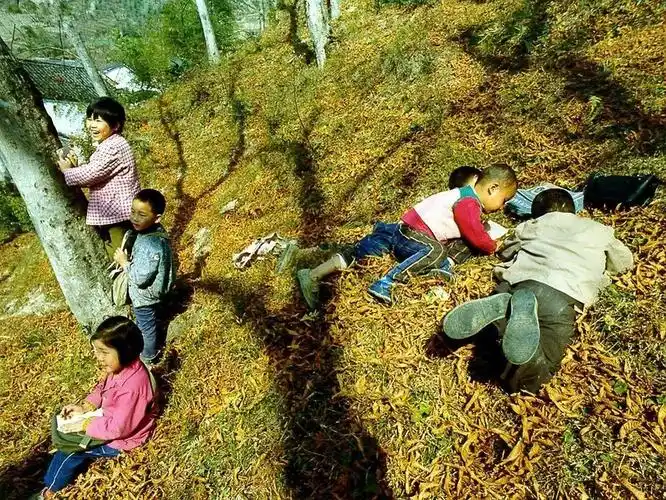 来自东平农村的儿时记忆,你还记得吗?