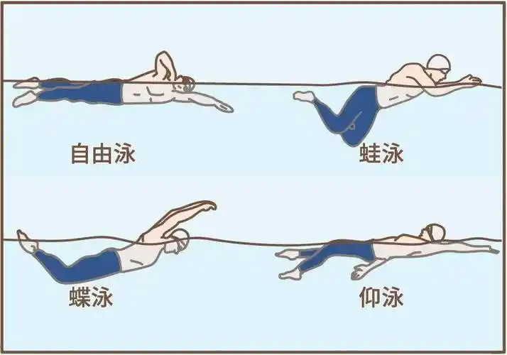 泳池"下饺子"小心这5种游泳病_身体_姿势_水面