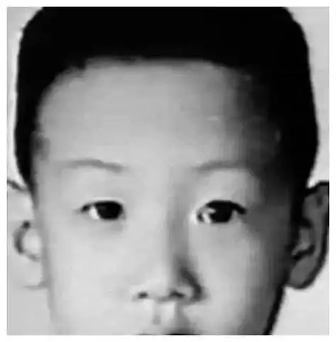 巨星童年照成龙刘德华朱茵张学友林青霞郭富城小时候照片