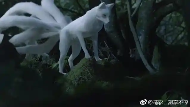 三生三世十里桃花:白浅终于露出她的九尾狐真身,原来这么惊艳!