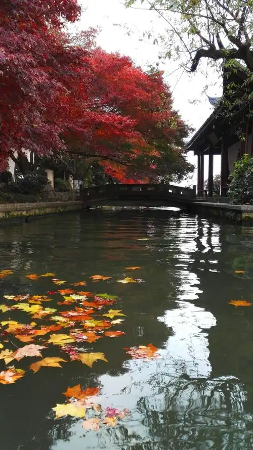 西湖十一景"平湖秋日"(一组平湖秋月深秋美景)与您分享 - 美篇