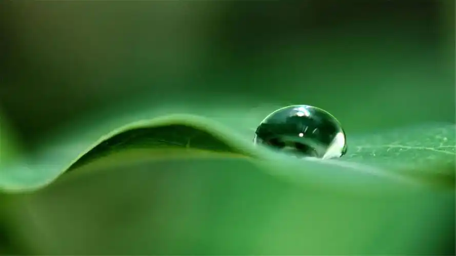 82张护眼电脑桌面壁纸,超多超全,唯美漂亮