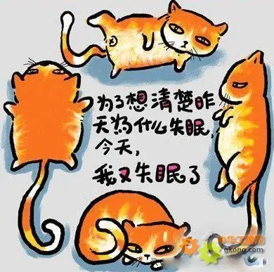 搞笑但很有意义的简单人生哲理