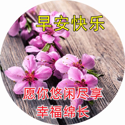 早晨给朋友的暖心问候语录,早上好温馨图片表情图